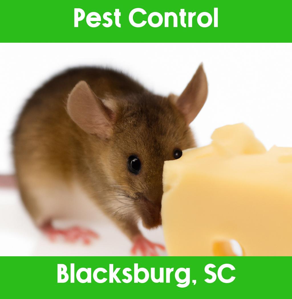 pest control in Blacksburg South Carolina