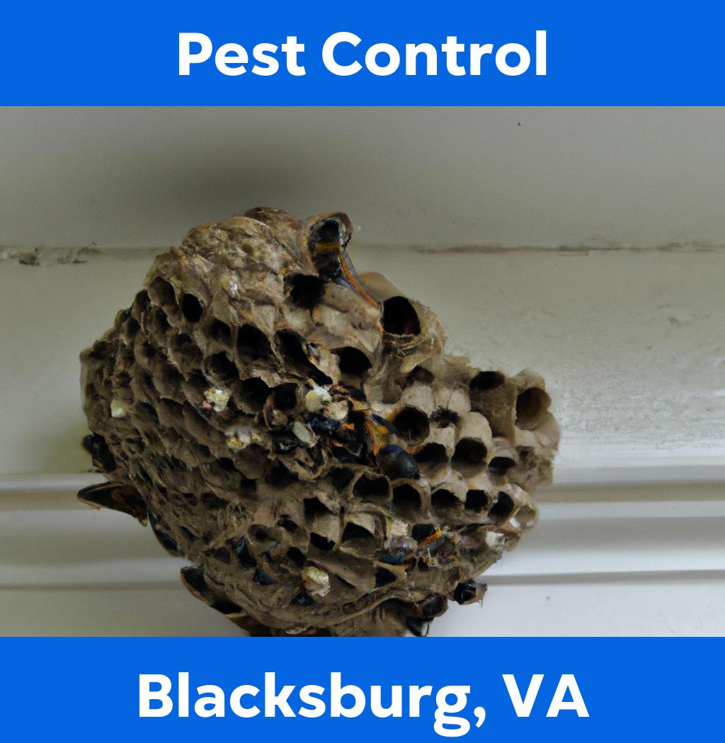 pest control in Blacksburg Virginia