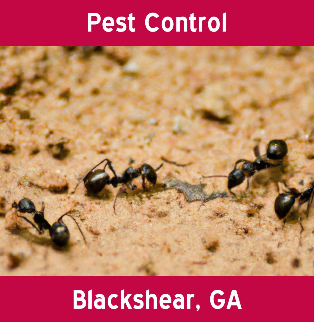 pest control in Blackshear Georgia