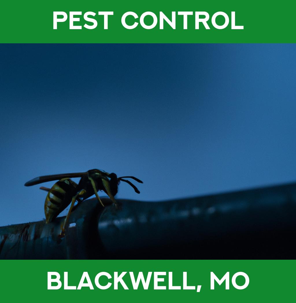 pest control in Blackwell Missouri