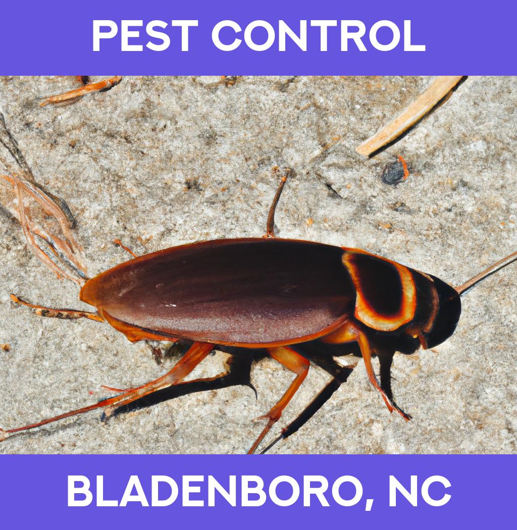 pest control in Bladenboro North Carolina