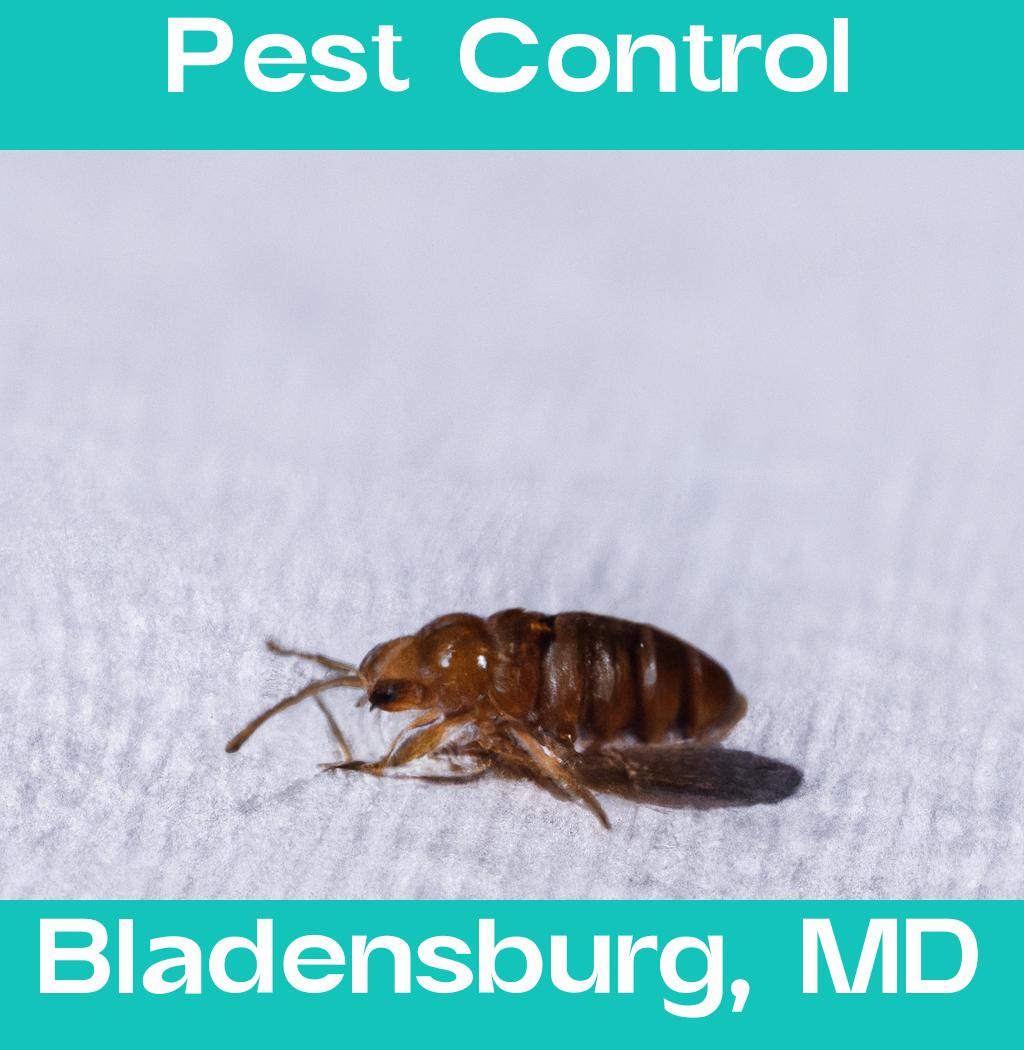 pest control in Bladensburg Maryland