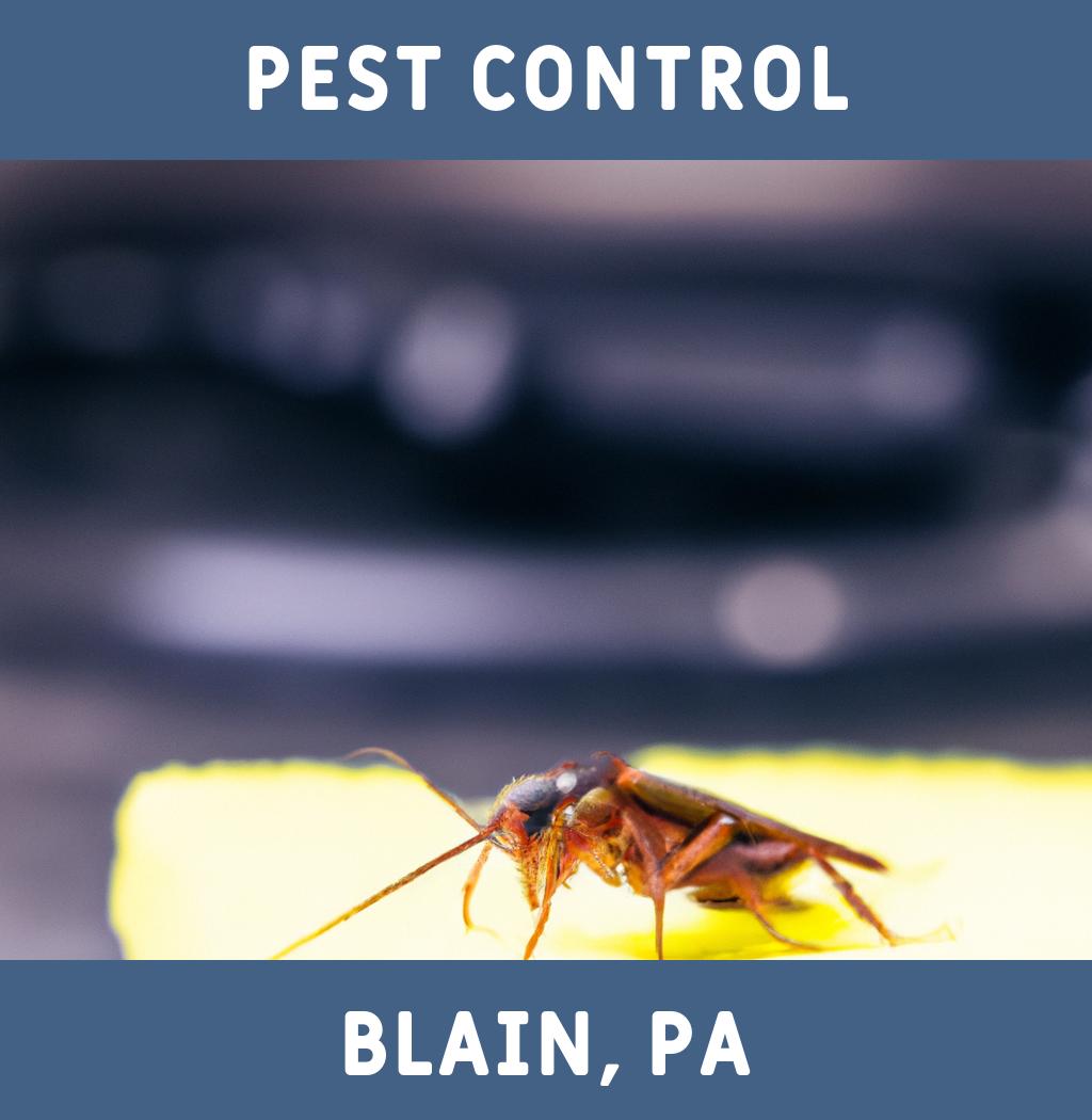 pest control in Blain Pennsylvania