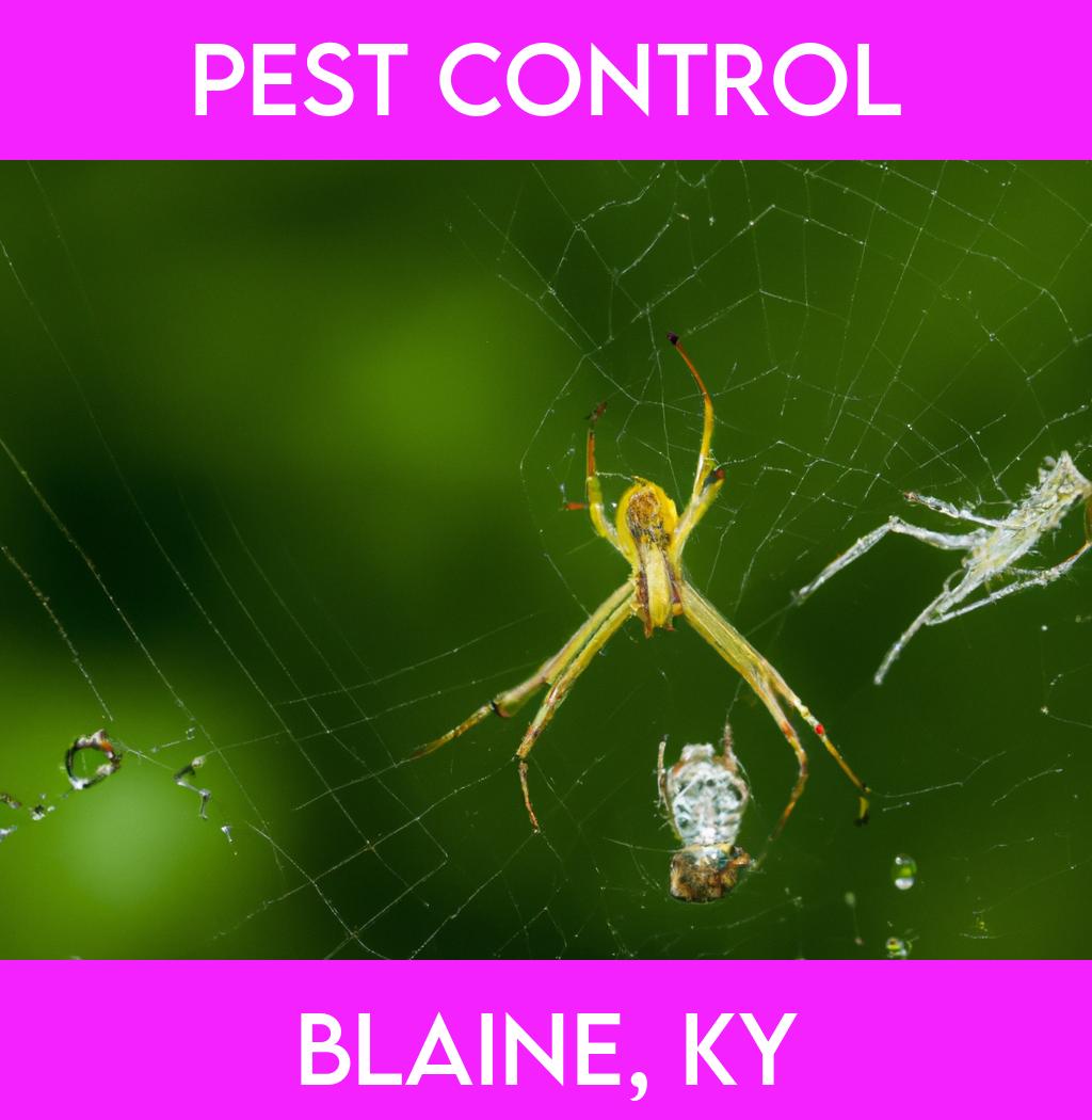 pest control in Blaine Kentucky