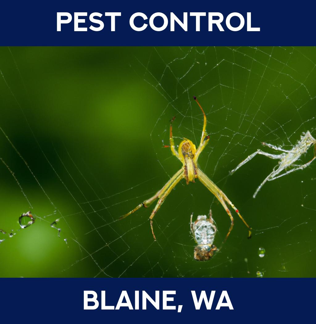 pest control in Blaine Washington