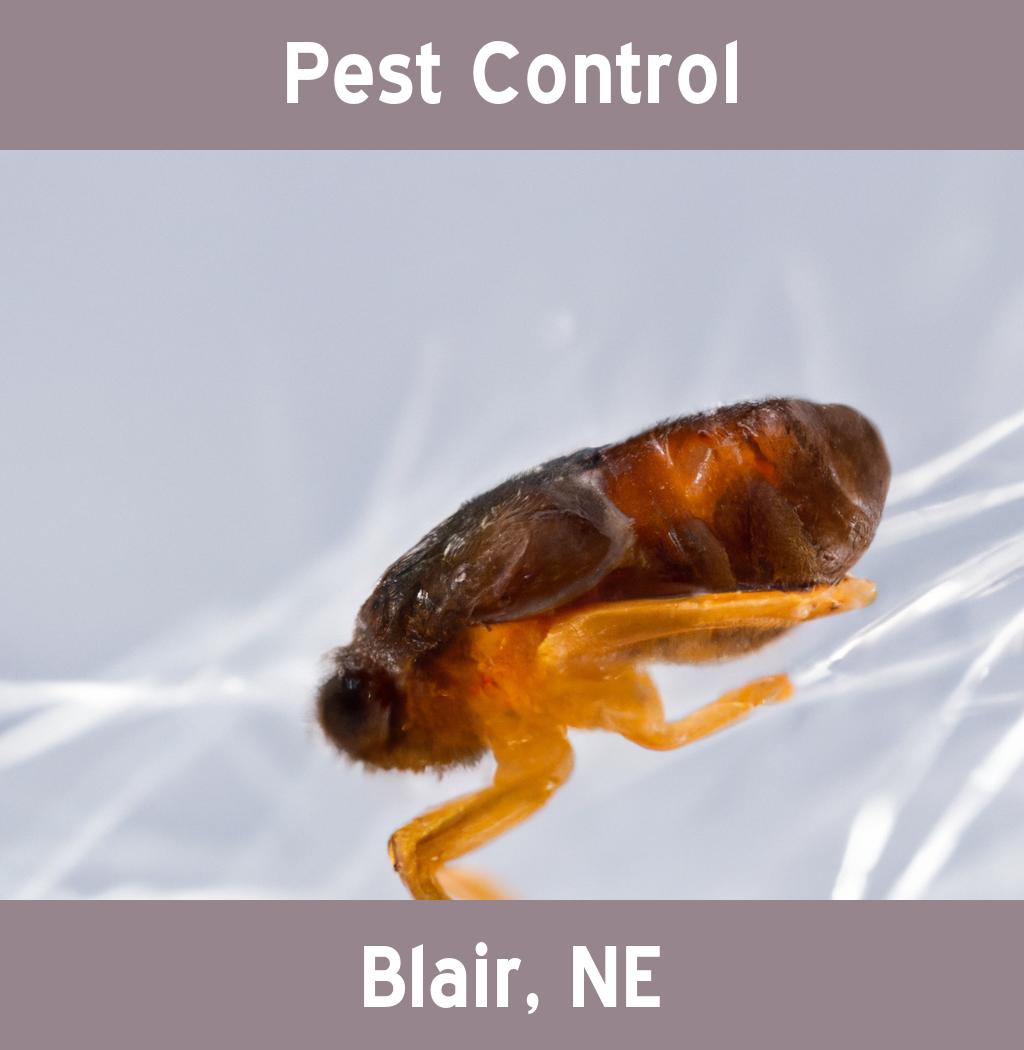 pest control in Blair Nebraska