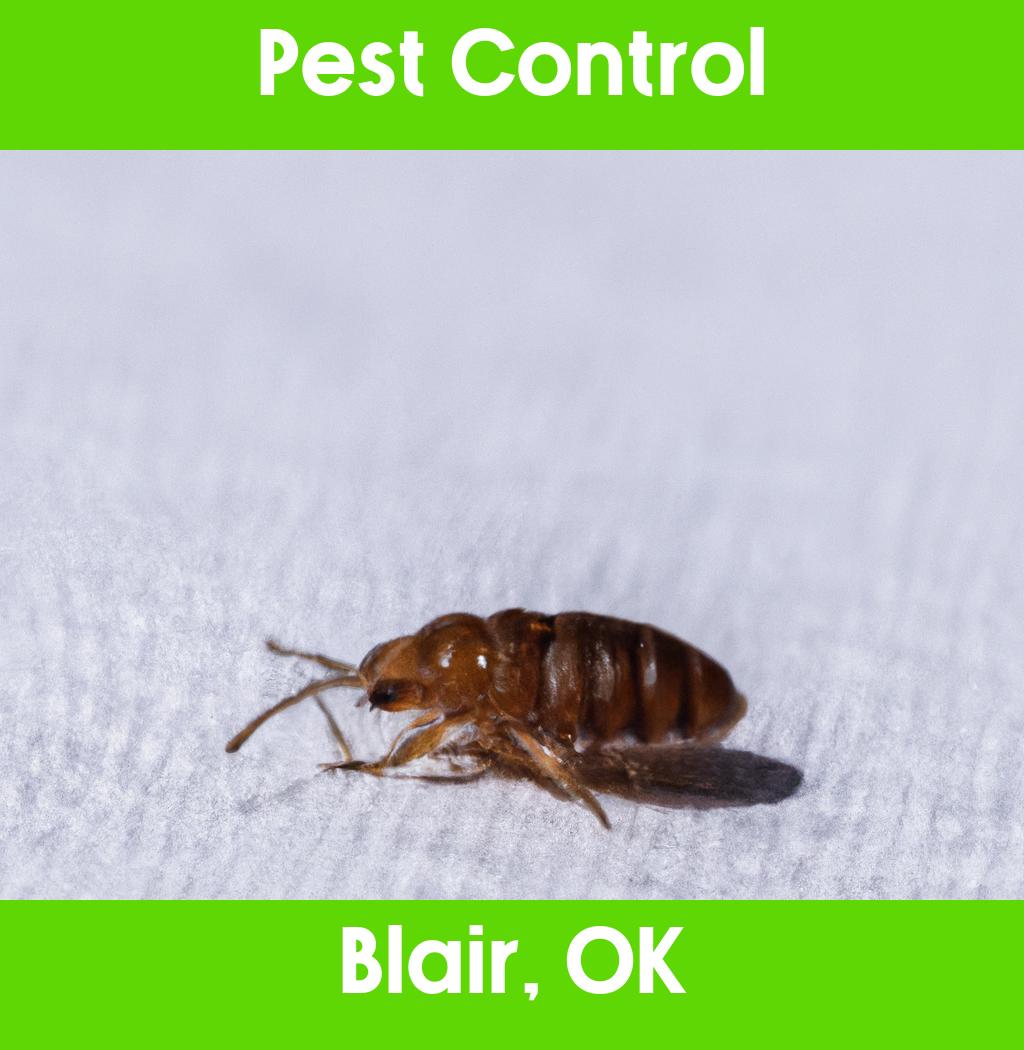 pest control in Blair Oklahoma