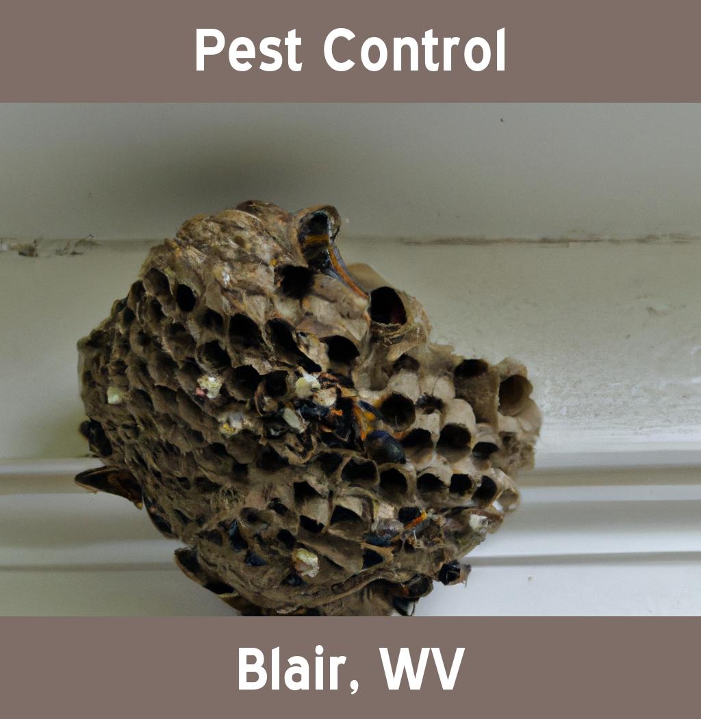 pest control in Blair West Virginia