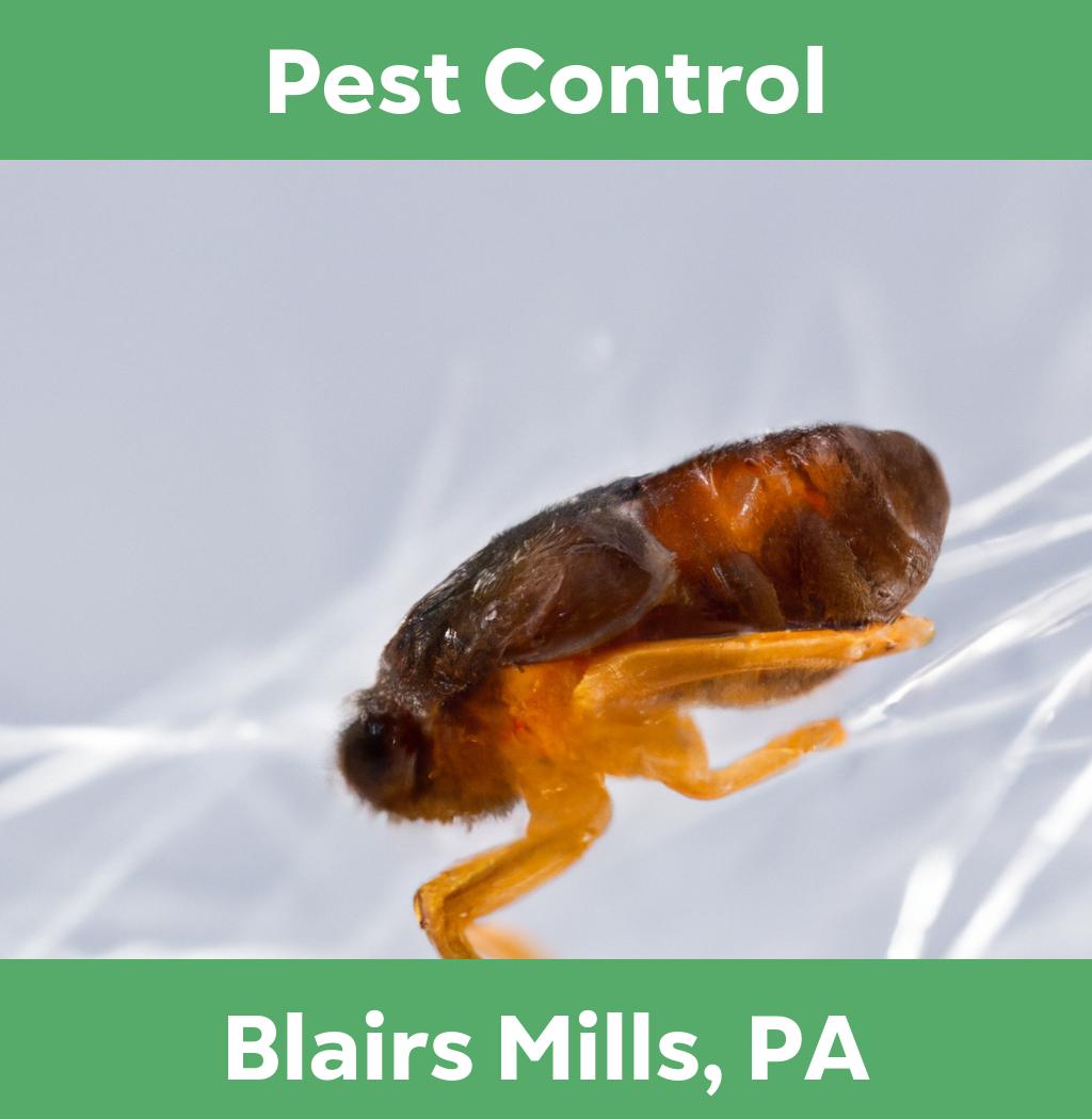 pest control in Blairs Mills Pennsylvania