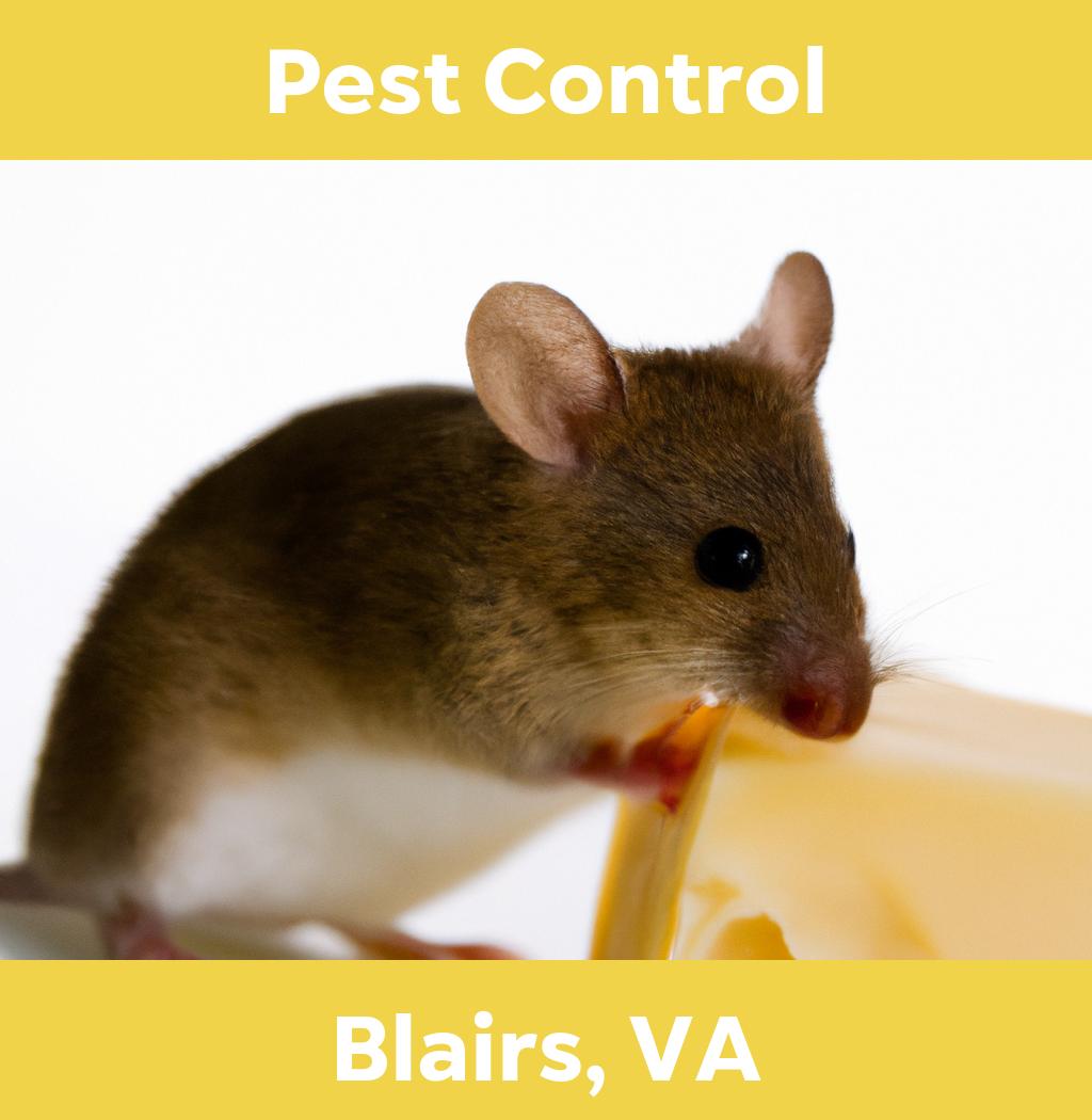 pest control in Blairs Virginia