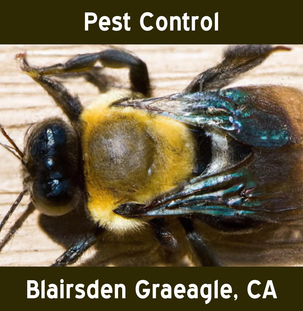pest control in Blairsden Graeagle California