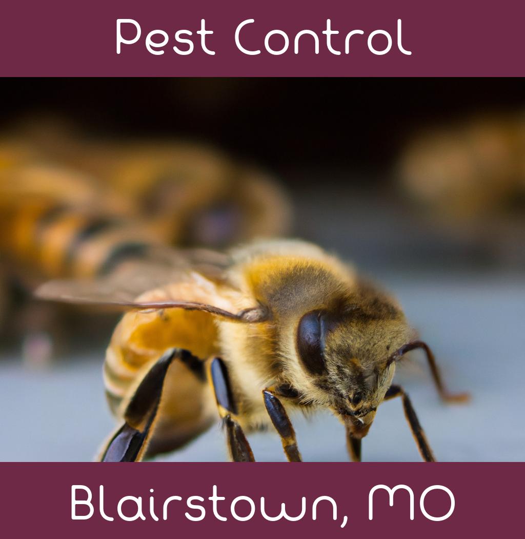 pest control in Blairstown Missouri