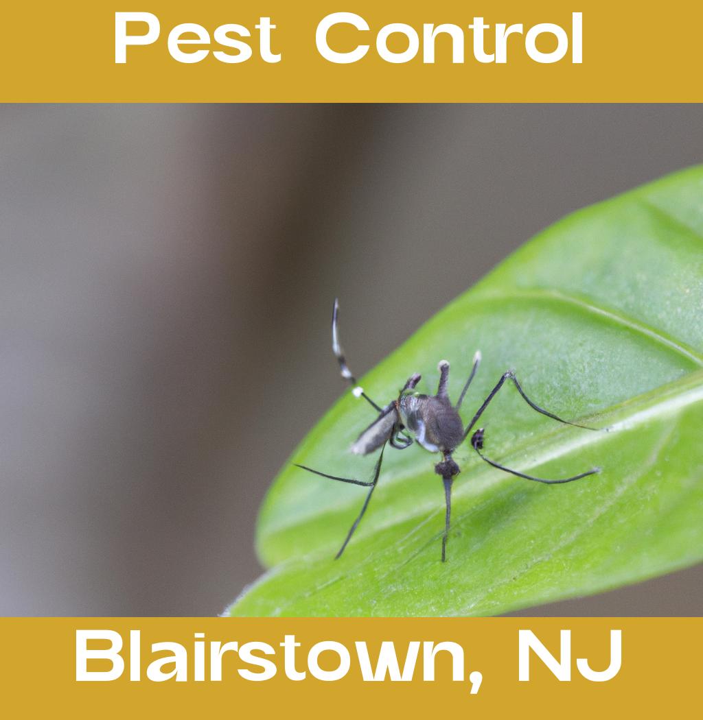 pest control in Blairstown New Jersey