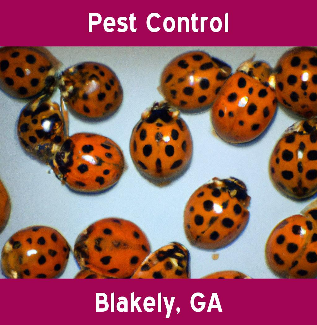 pest control in Blakely Georgia