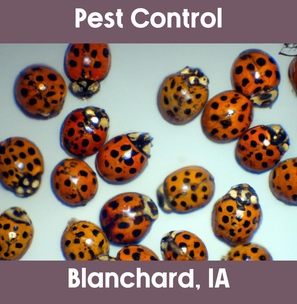 pest control in Blanchard Iowa