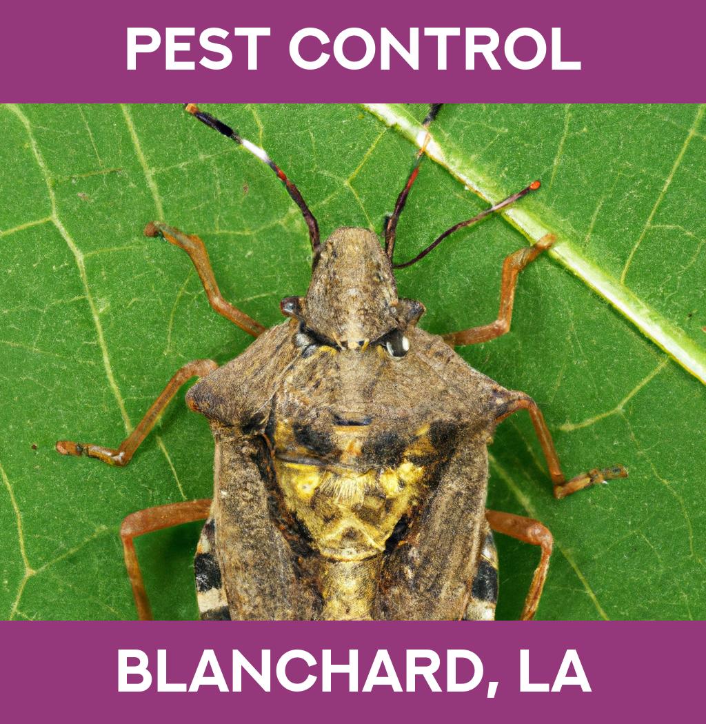 pest control in Blanchard Louisiana