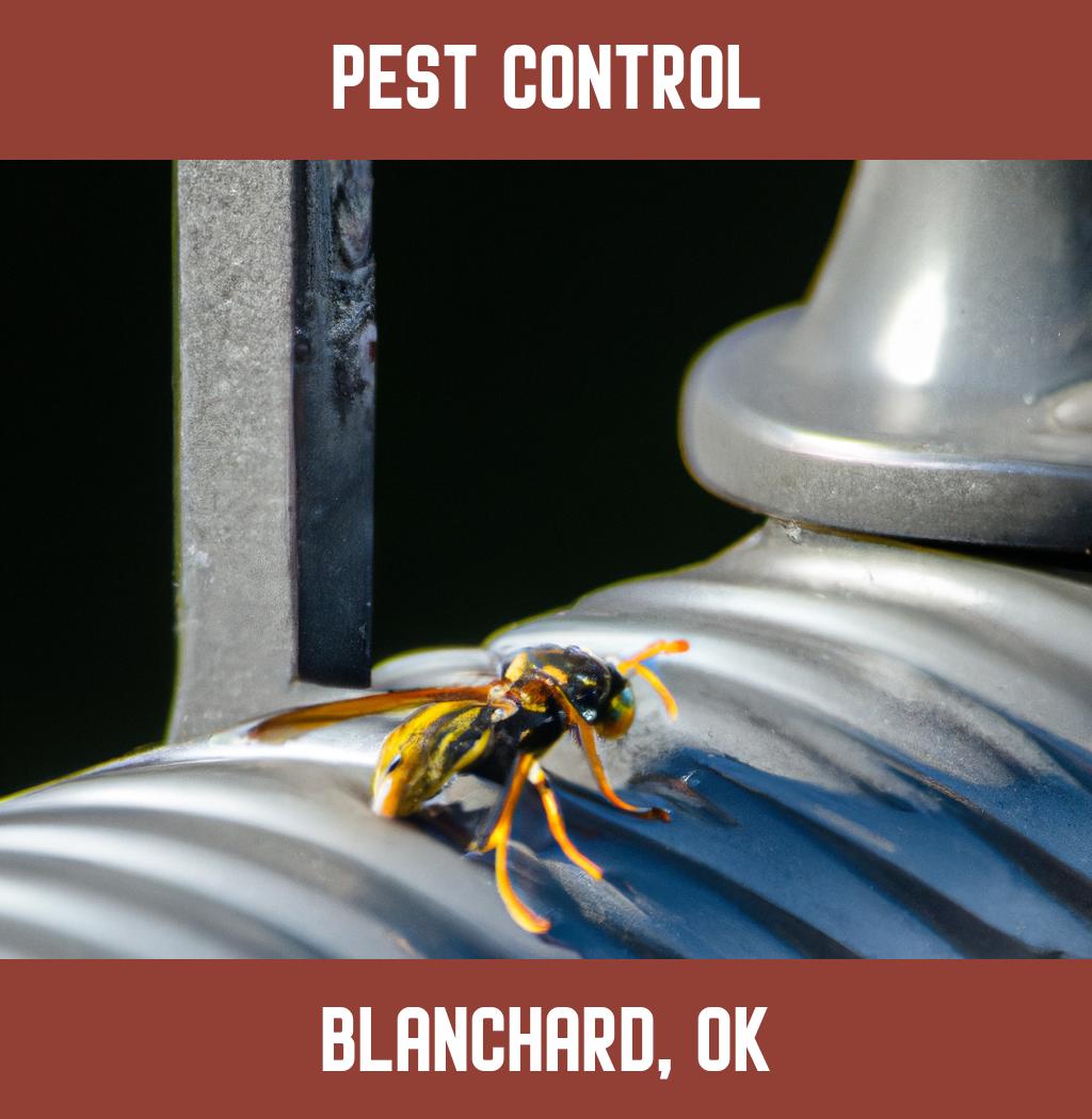 pest control in Blanchard Oklahoma