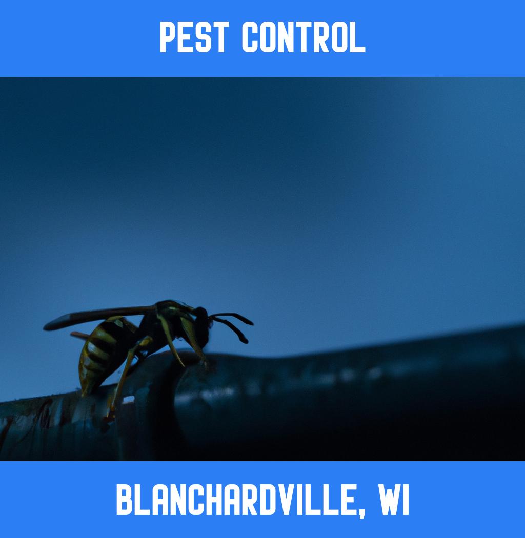 pest control in Blanchardville Wisconsin