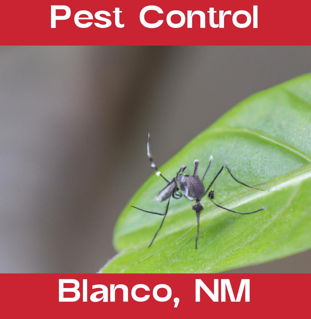 pest control in Blanco New Mexico