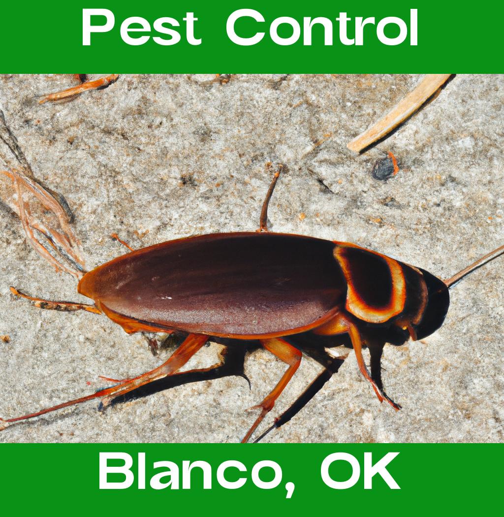 pest control in Blanco Oklahoma