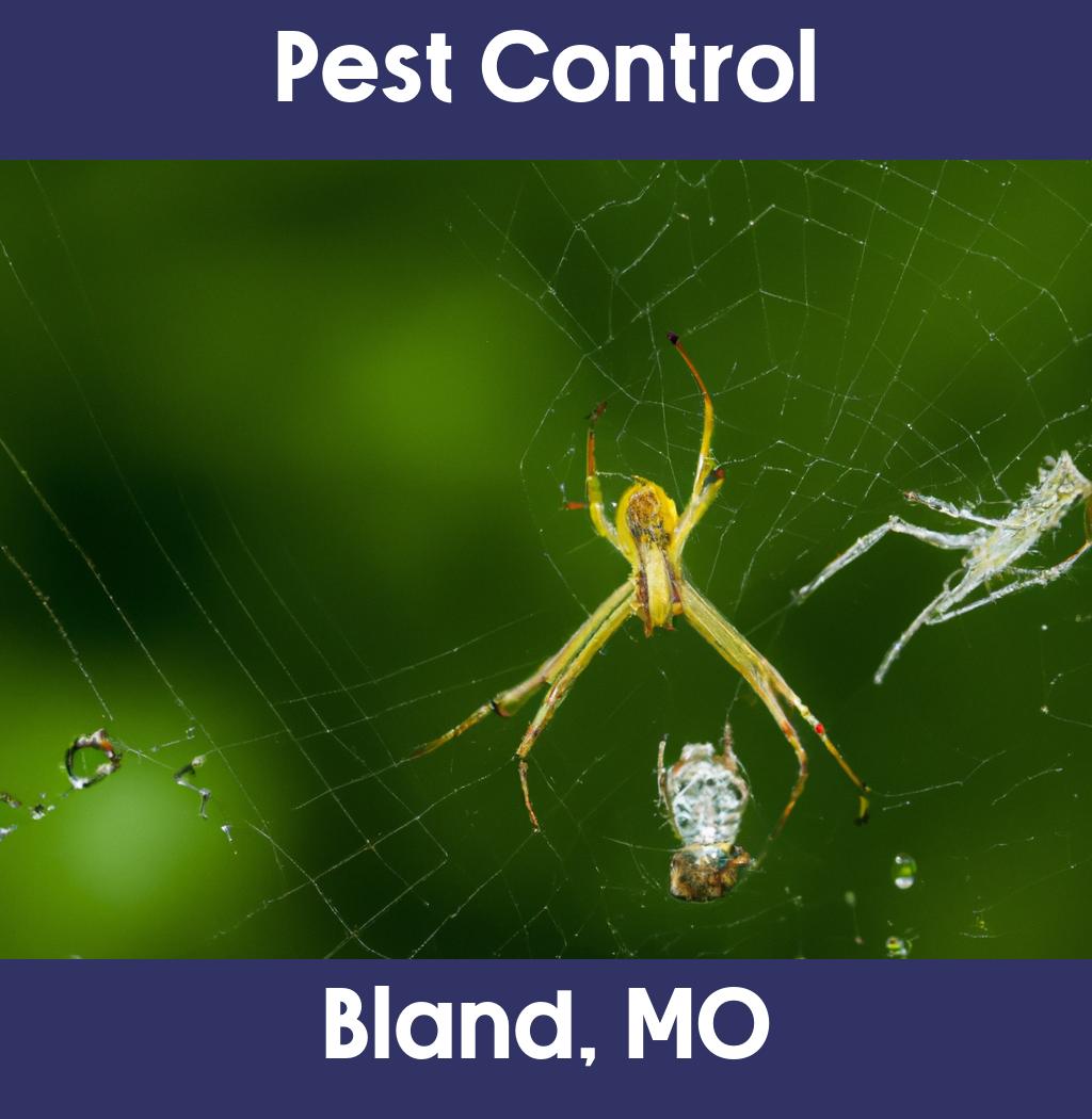 pest control in Bland Missouri