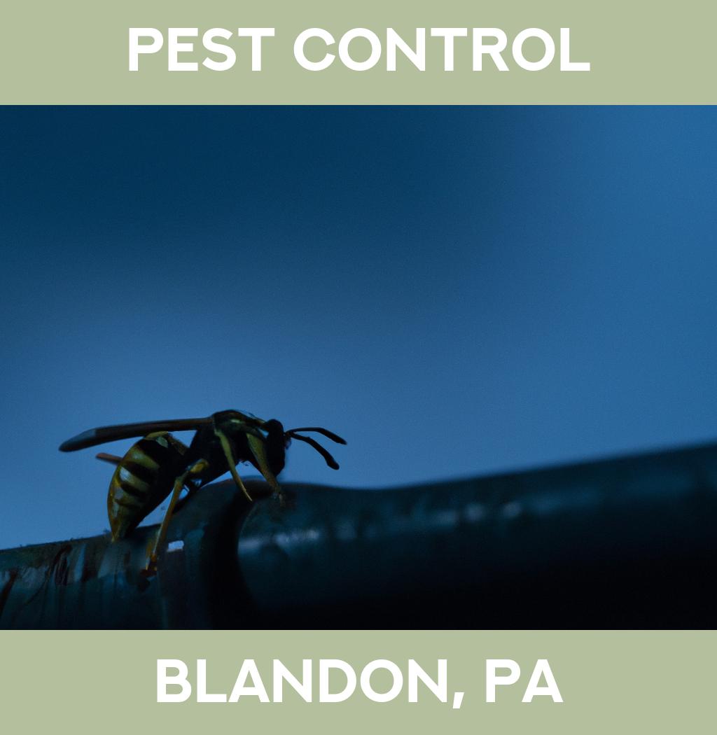 pest control in Blandon Pennsylvania