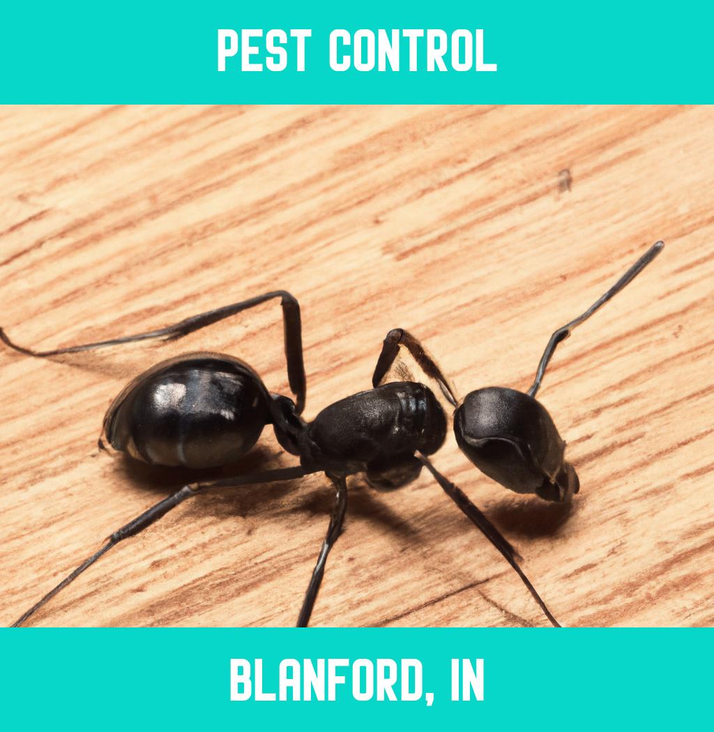 pest control in Blanford Indiana