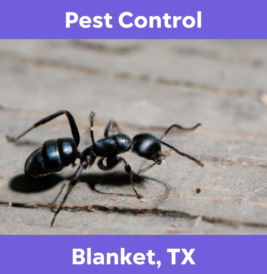 pest control in Blanket Texas