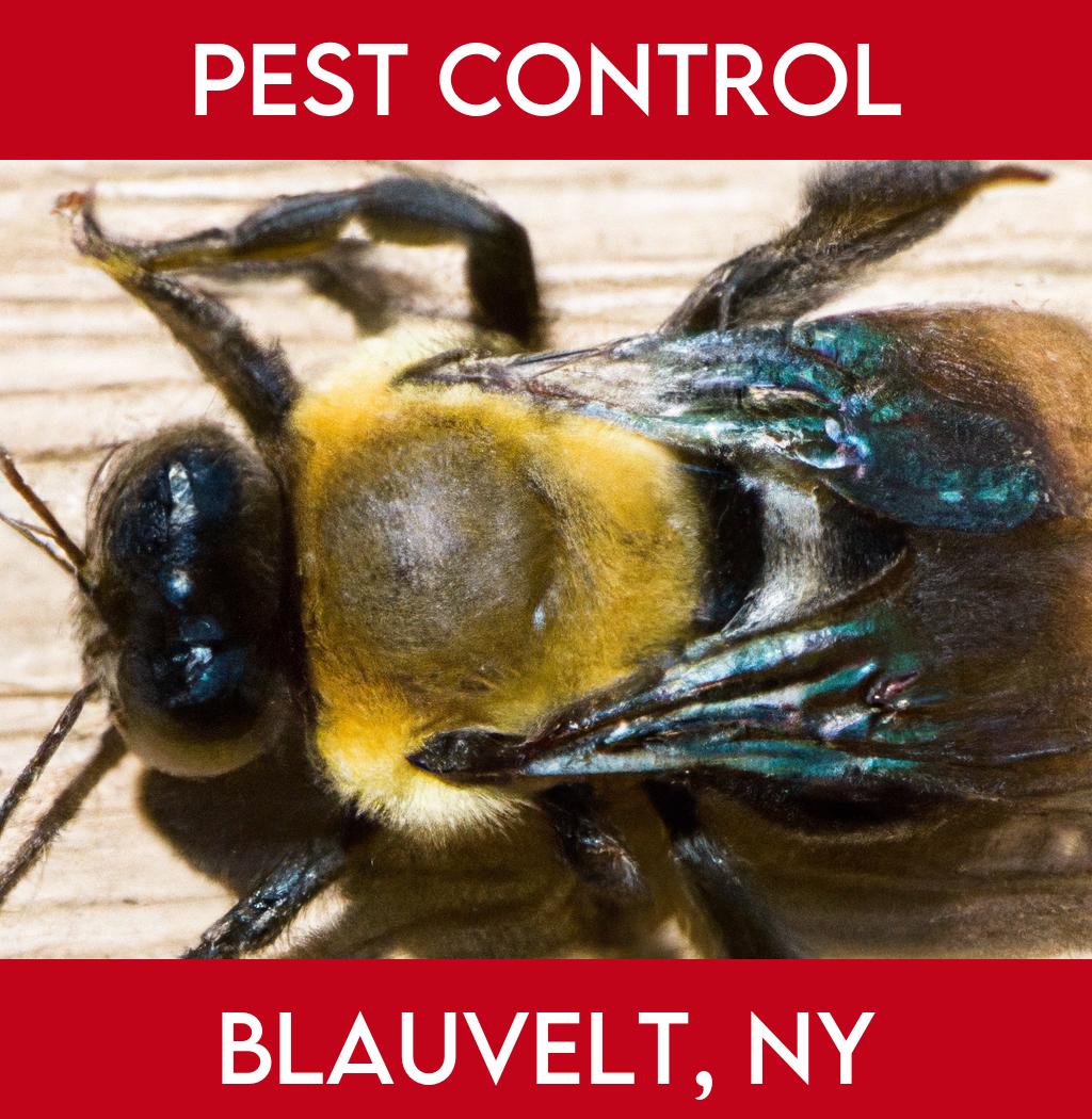 pest control in Blauvelt New York