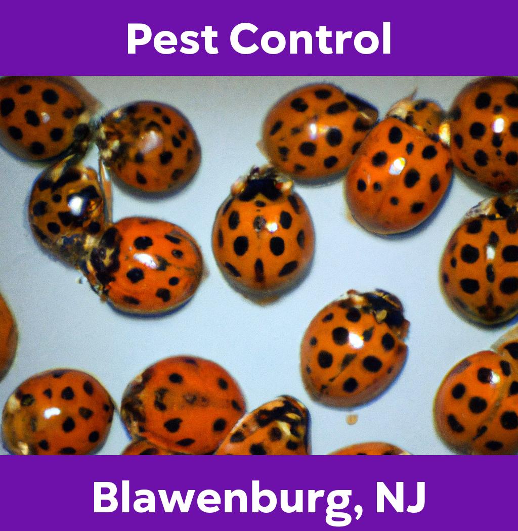 pest control in Blawenburg New Jersey