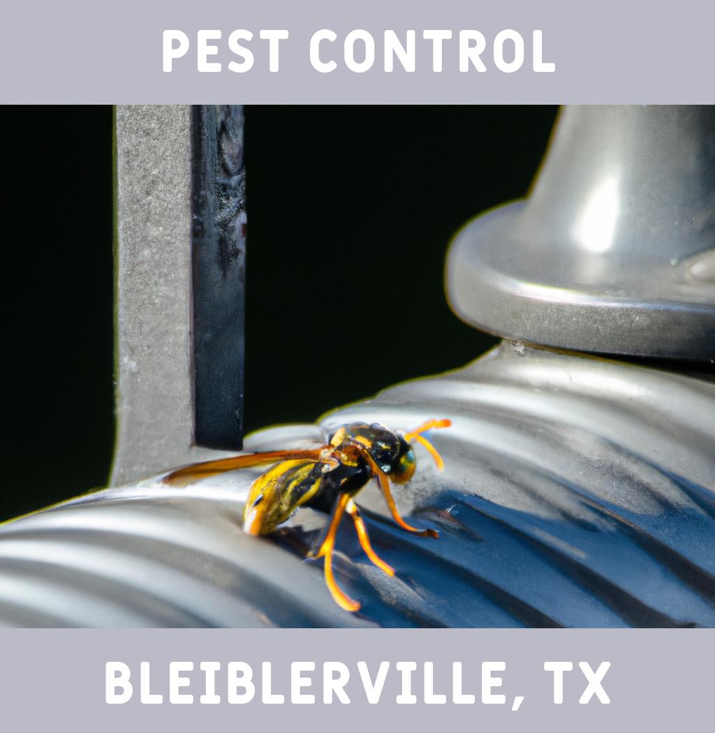 pest control in Bleiblerville Texas