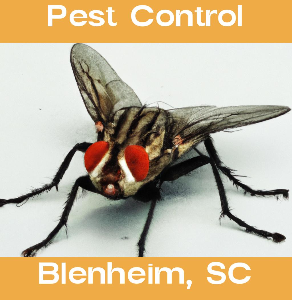 pest control in Blenheim South Carolina
