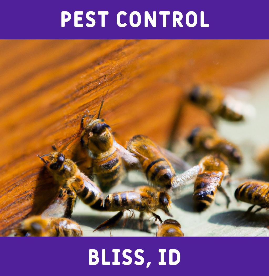 pest control in Bliss Idaho
