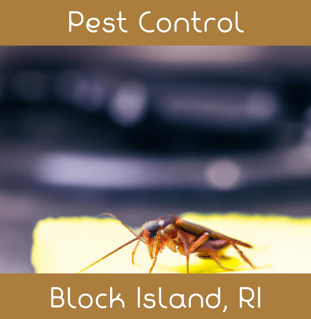 pest control in Block Island Rhode Island