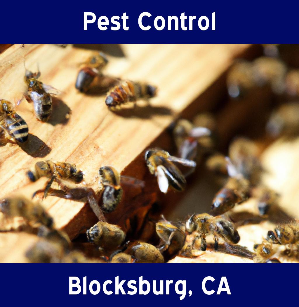 pest control in Blocksburg California