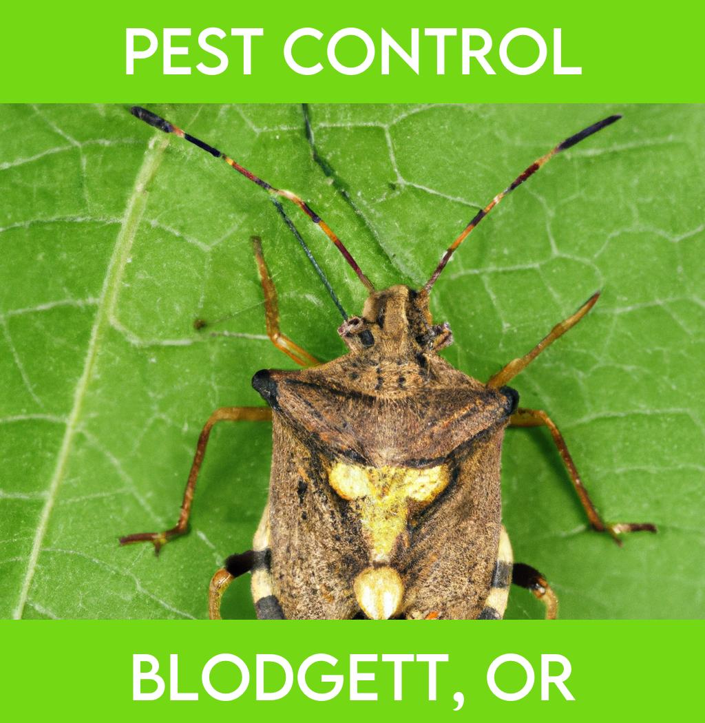 pest control in Blodgett Oregon