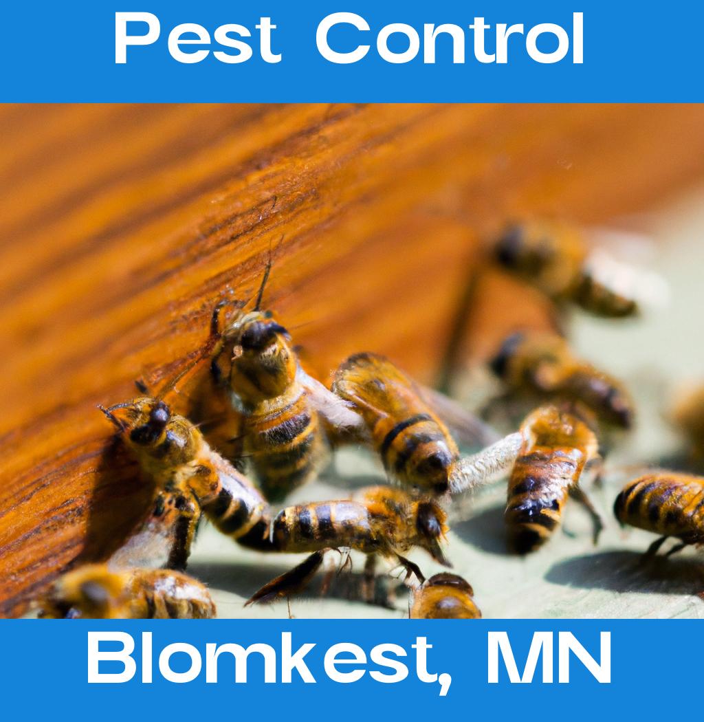 pest control in Blomkest Minnesota