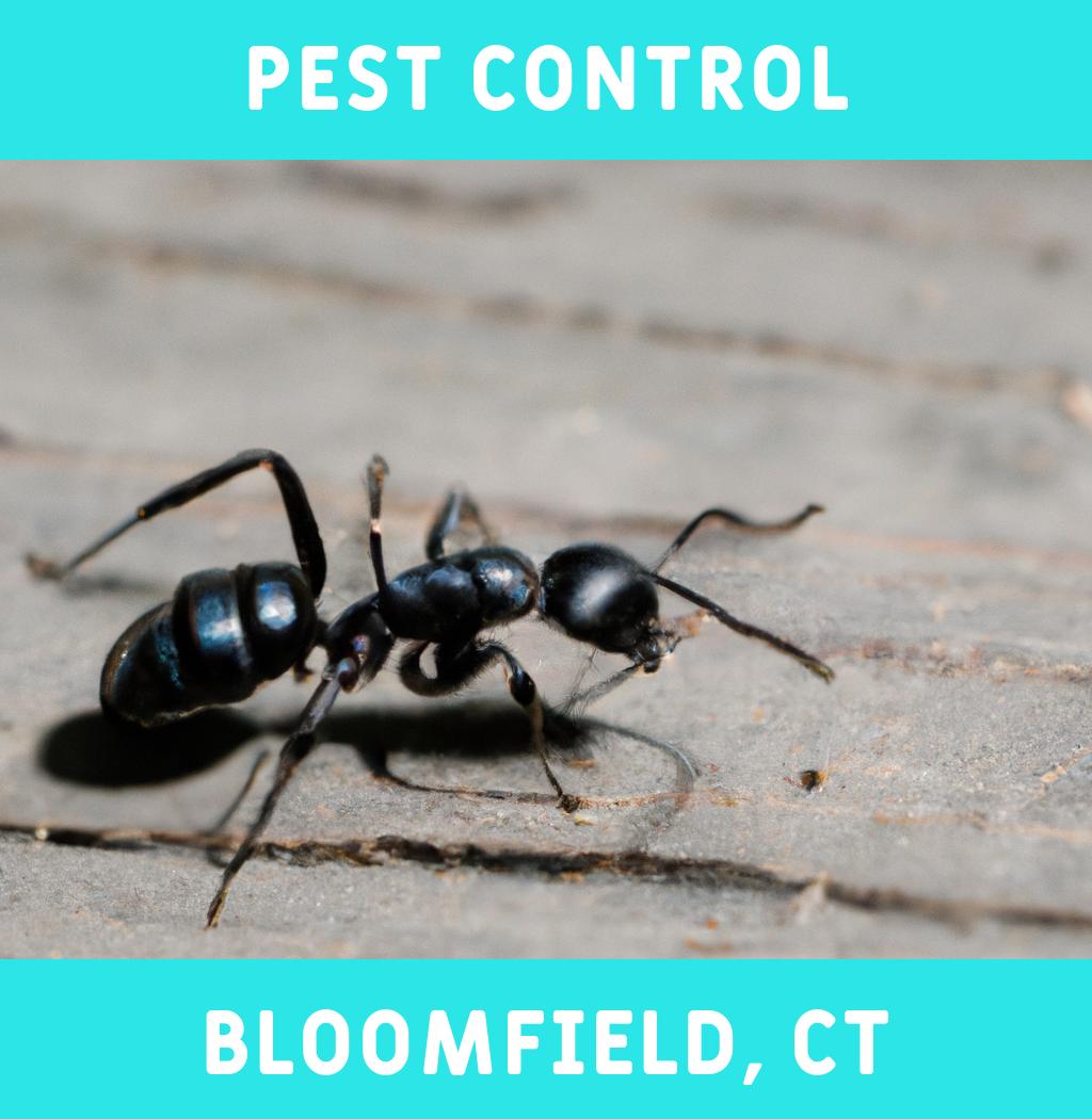 pest control in Bloomfield Connecticut