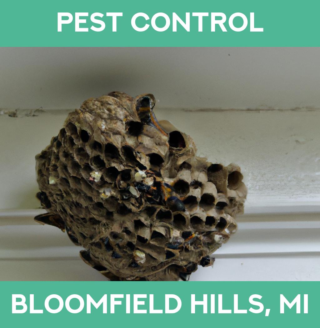 pest control in Bloomfield Hills Michigan