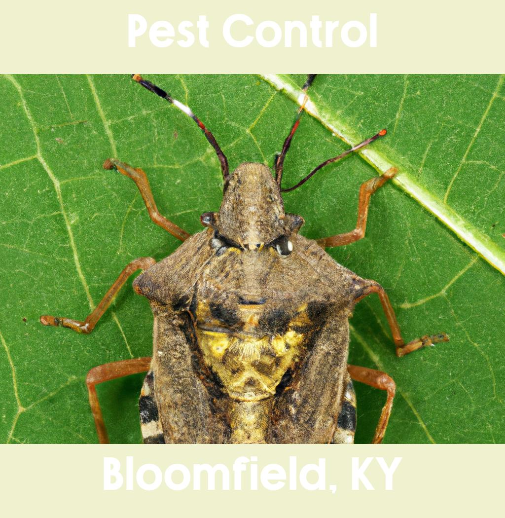 pest control in Bloomfield Kentucky