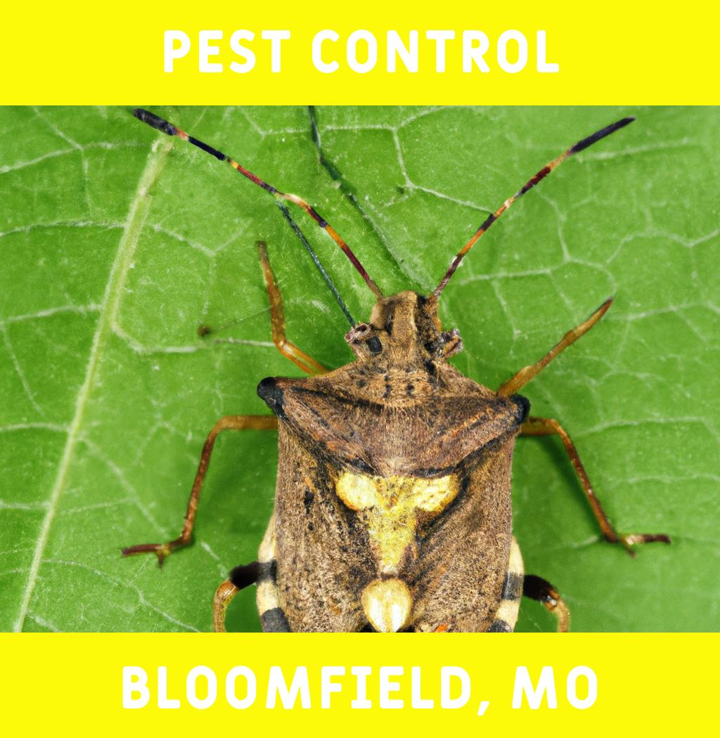 pest control in Bloomfield Missouri