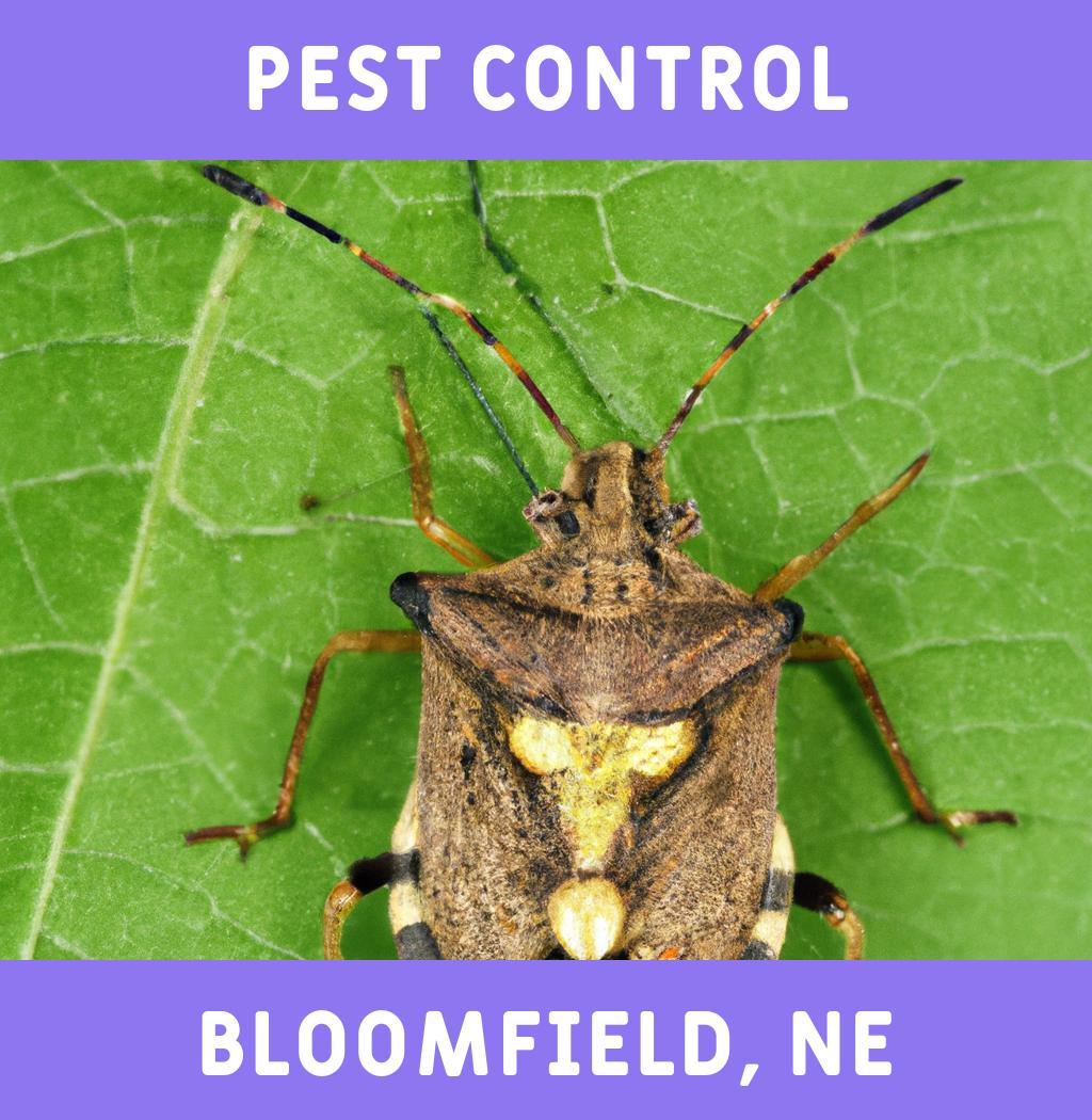 pest control in Bloomfield Nebraska