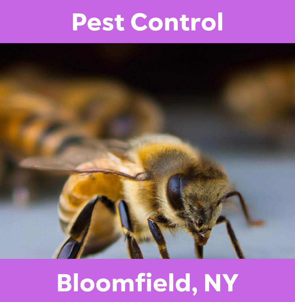 pest control in Bloomfield New York