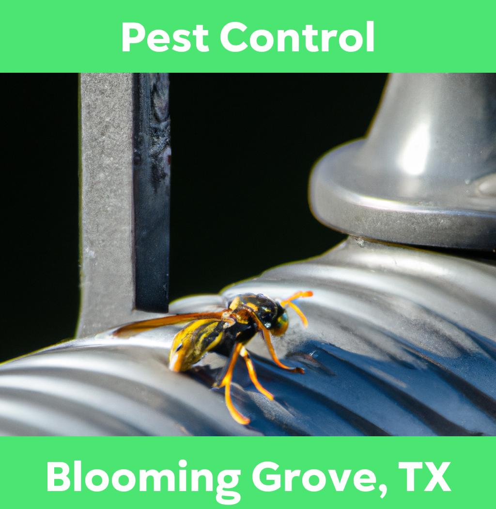 pest control in Blooming Grove Texas