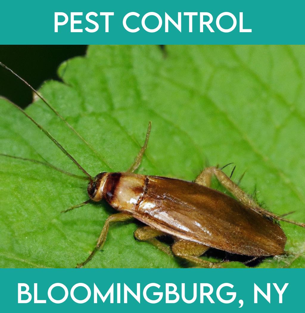 pest control in Bloomingburg New York