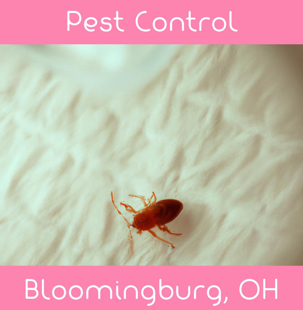 pest control in Bloomingburg Ohio