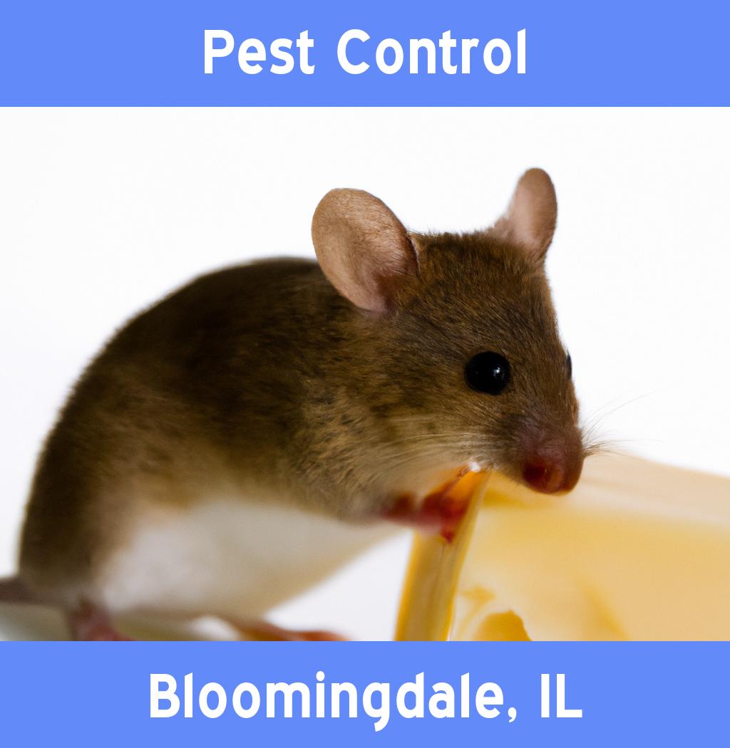 pest control in Bloomingdale Illinois