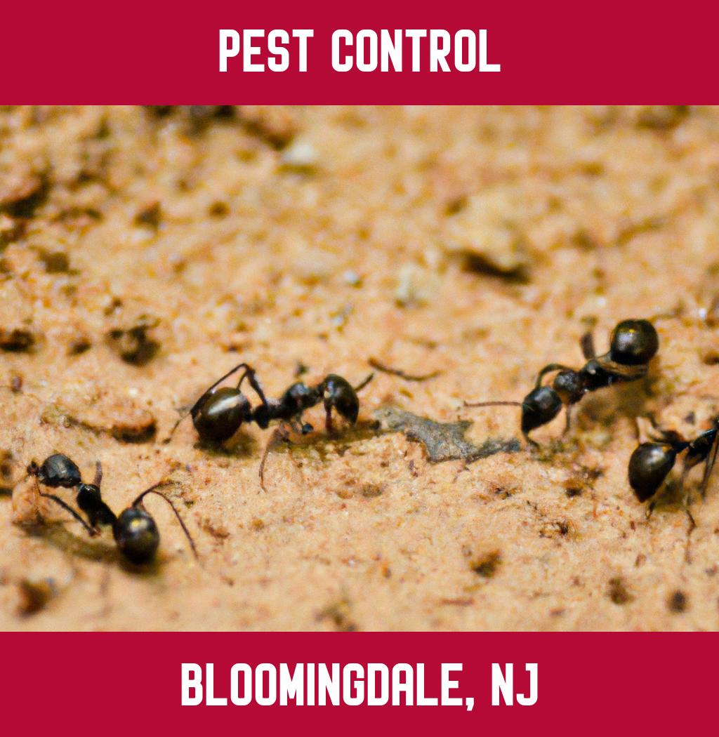 pest control in Bloomingdale New Jersey