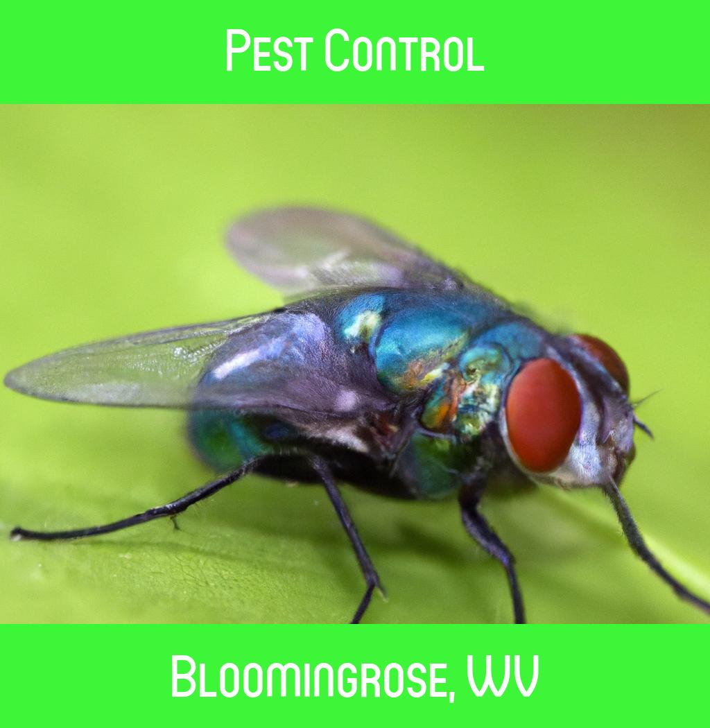 pest control in Bloomingrose West Virginia