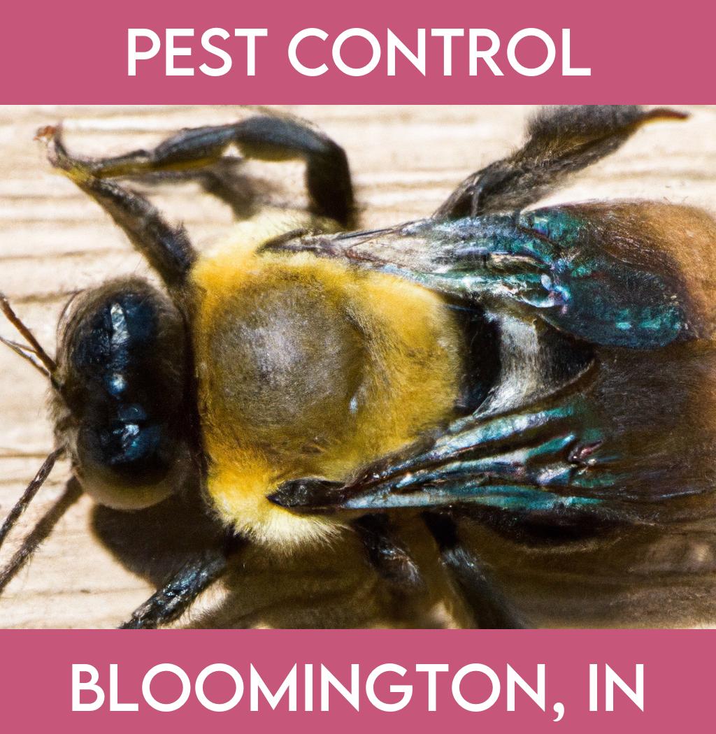pest control in Bloomington Indiana